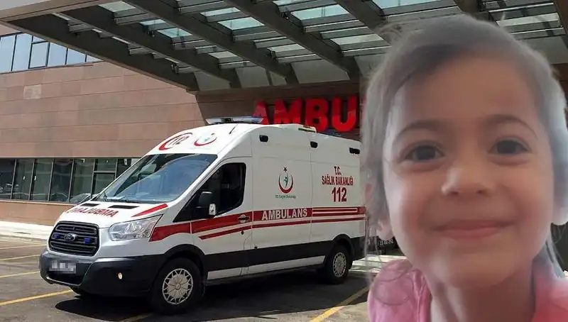 8 Yaşındaki Roza'nın Hayatı, 10 Ay Aradan Sonra Kayıplarla Sarsıldı
