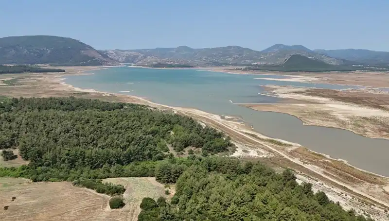İzmir'de Tehlike Çanları: Geçen Yıla Göre Yüzde 50 Düşüş Nedenleri Neler?