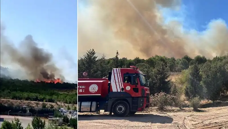 Gebze'de Sıra Dışı Orman Yangını: Doğa ve Hayat Tehlikede!