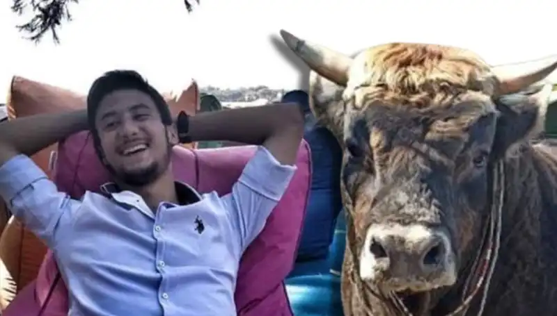 Aydın'da Güreş Boğasından Korkunç Olay: Hayatını Kaybedenler Var!