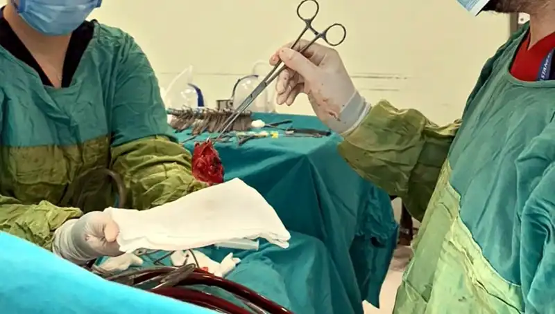 Kalp Kapağı Çürüyen Hastaya 7 Saatlik Ameliyat: Mucizevi Sonuç