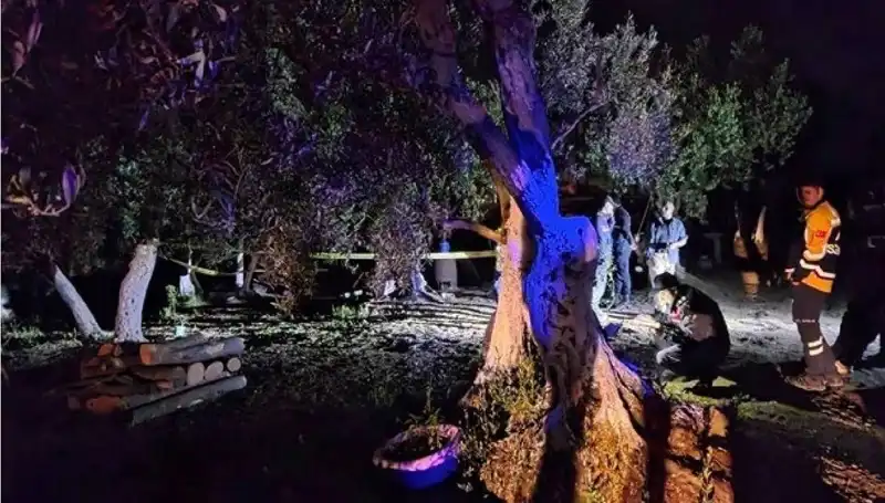 Çiftlikteki Baltalı Vahşet Olayıyla İlgili İlk Tutuklama Yapıldı