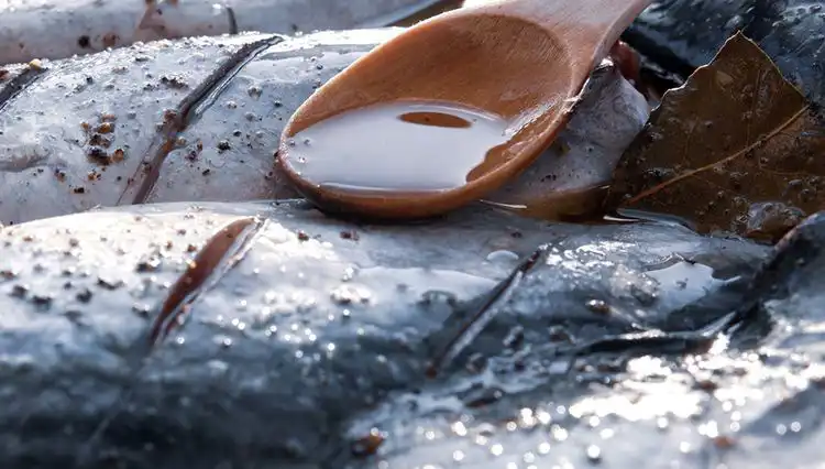 78 Yaşındaki Doktorun Anti-Aging Sırları: 7 Besin ile Gençleşin