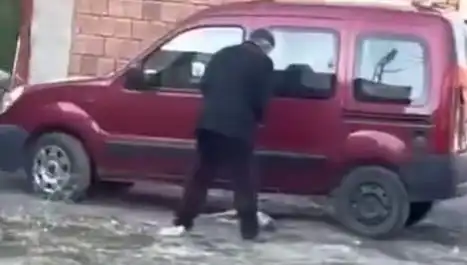 Sokak Ortasında Köpeğe Şiddet: Hayvan Hakları İhlalini Artıran Bir Olay