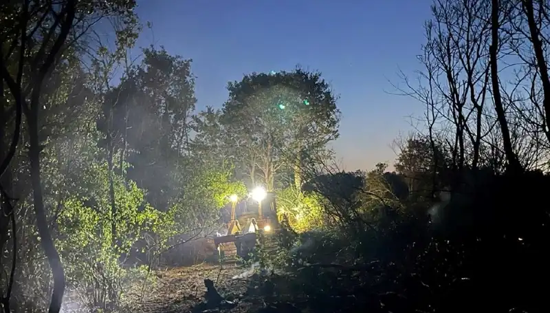 Edirne'deki Korkutan Orman Yangını Kontrol Altına Alındı: Ayrıntılar Burada!