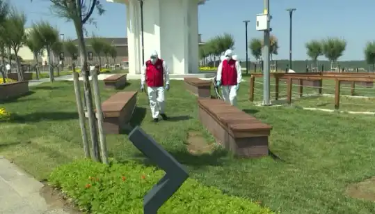 Kene Tehditi Artıyor: Halka Açık Alanlarda İlaçlama Başladı