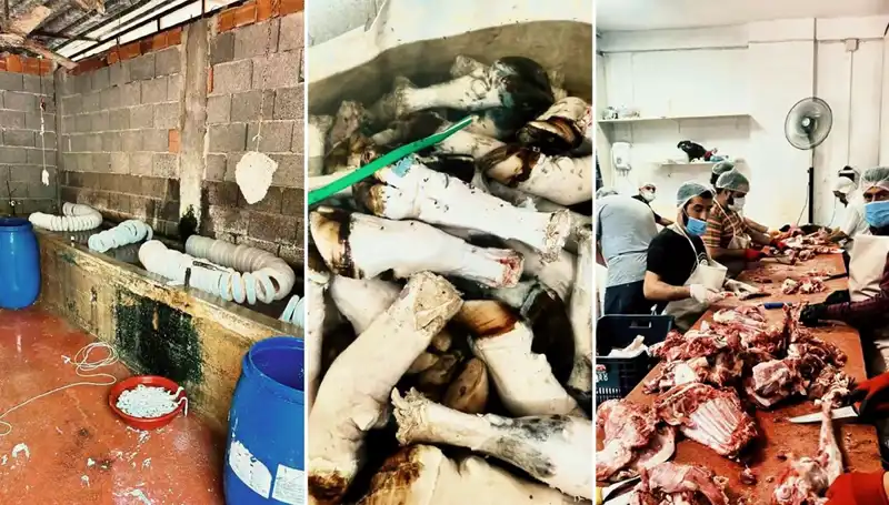 Adana'da Şok Eden Gelişme: Yüzlerce Kilo Paça Ele Geçirildi!