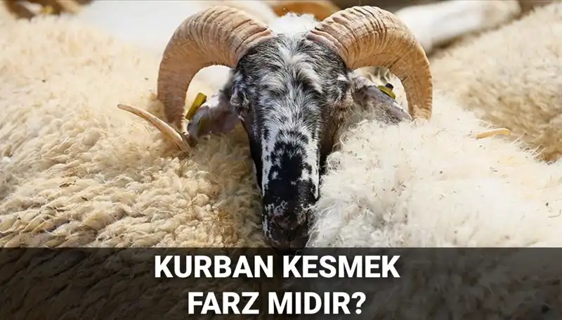 Kurban Kesmenin Farz Olup Olmadığı ve Şartları Hakkında Bilmeniz Gerekenler