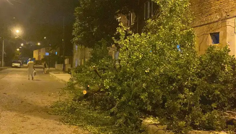 Karabük’te Fırtına Dehşeti: Şehir Kayıplarla Sarsıldı
