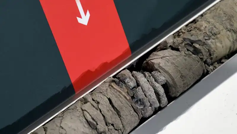 Müze Otoparkında Dinozor Fosili Keşfedildi: Bilim Dünyasında Heyecan Yaratan Gelişme