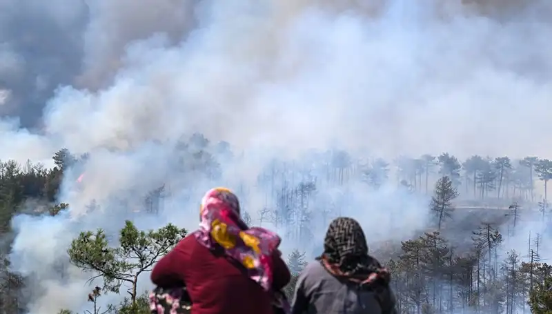 Bursa'daki Yangınlar Söndü, Ancak Hava Kirliliği Sapasağlam Devam Ediyor