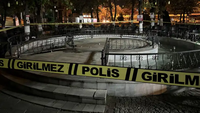 Kırklareli'nde Süs Havuzu Kazası: Dört Kişi Hastaneye Kaldırıldı ve Olayın Perde Arkası