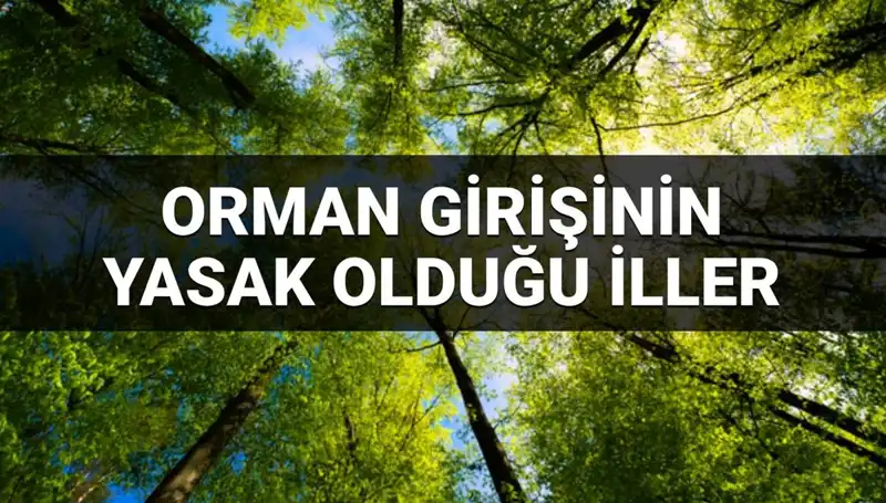 Türkiye'de Ormana Girmek Yasaklanan İller: 2025 Yılına Özel Listemiz
