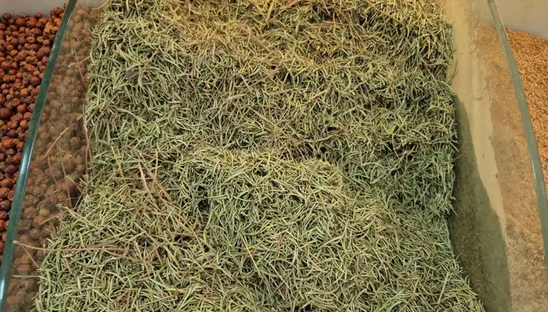 Yaz Aylarında İnternette Satışı Artan Ürünlerin Karanlık Yüzü