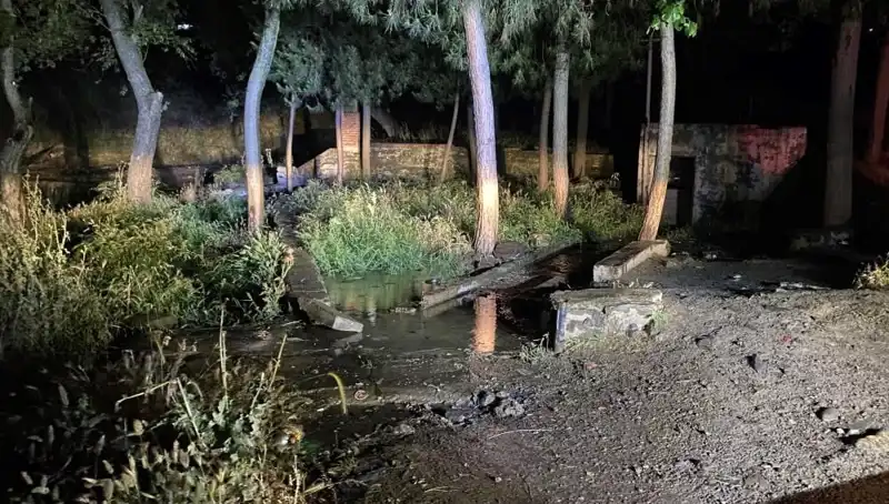 Manisa'da Gizemli Bir Park Ölümü: Olayın Detayları Ortaya Çıktı!