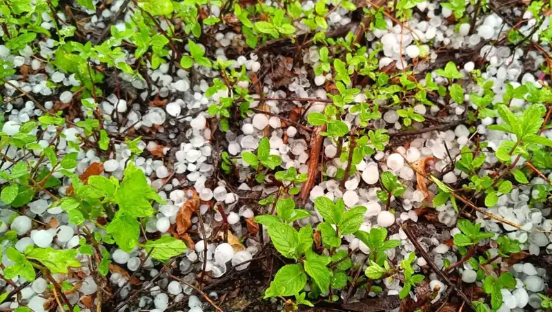 Temmuz Ortasında Şaşırtan Hava Olayı: Şehirleri Dolu Vurdu