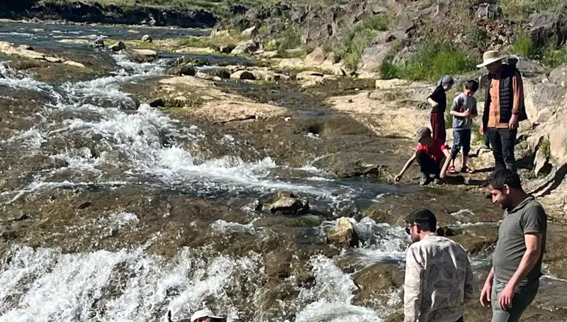 İnci Kefalinin Büyüleyici Göçü: Doğanın En Güzel Gösterisi