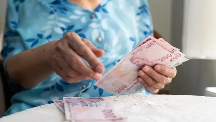 Dolandırıcılar, Emeklilerin Tasarruflarını Amaçlarına Ulaştırmada Yeteneklerini Geliştiriyor